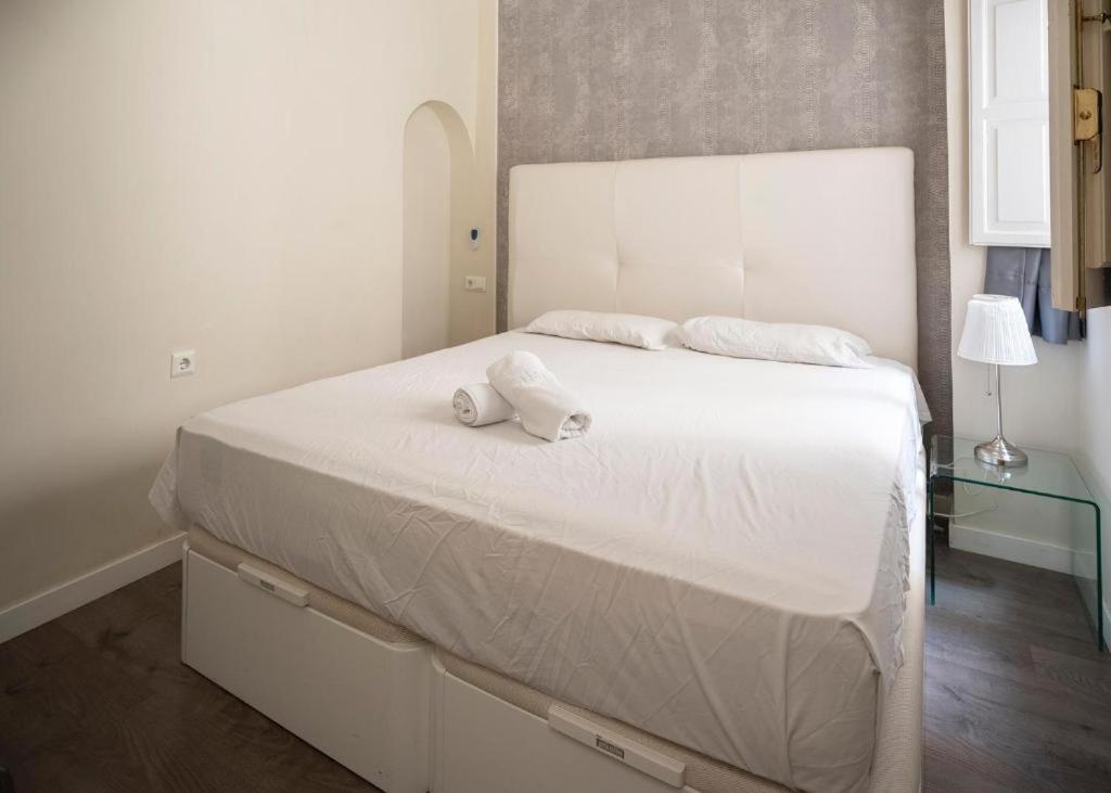 Apartamentos Optima Palacete De La Alhambra Junto A La Alhambra Granada Buitenkant foto